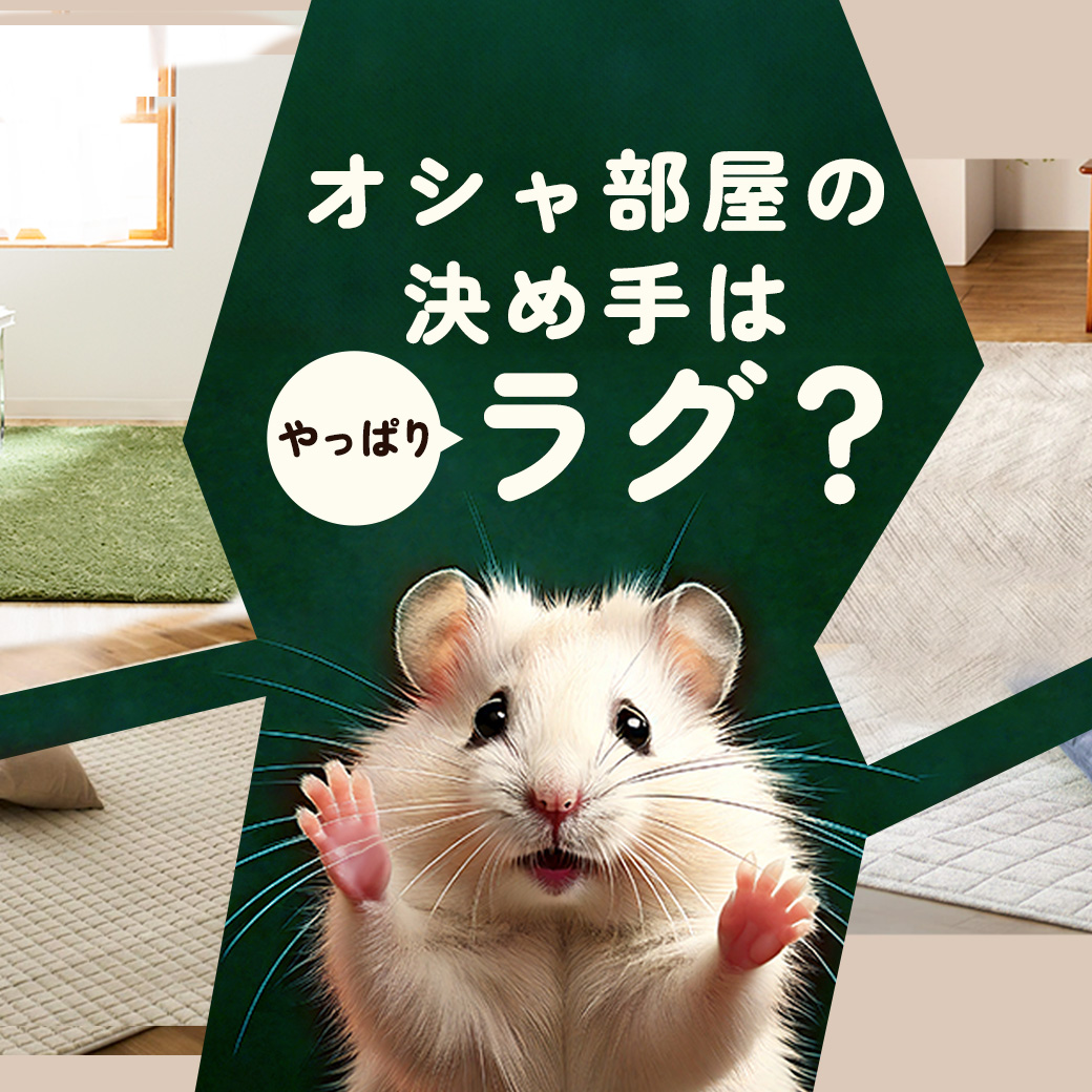 オシャ部屋作り！ラグの選び方