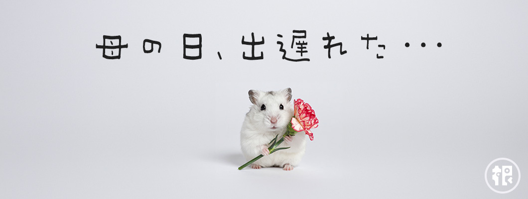 【遅れても大丈夫!】“ゆるギフト選び”ガイド