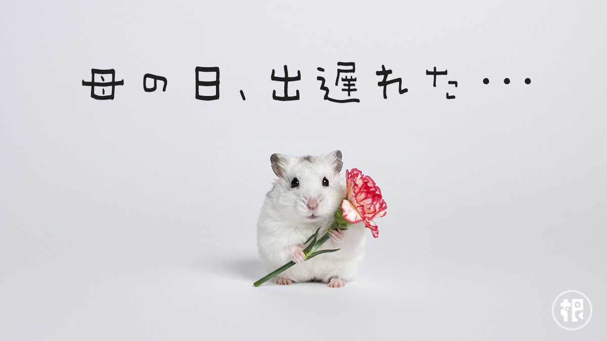 母の日