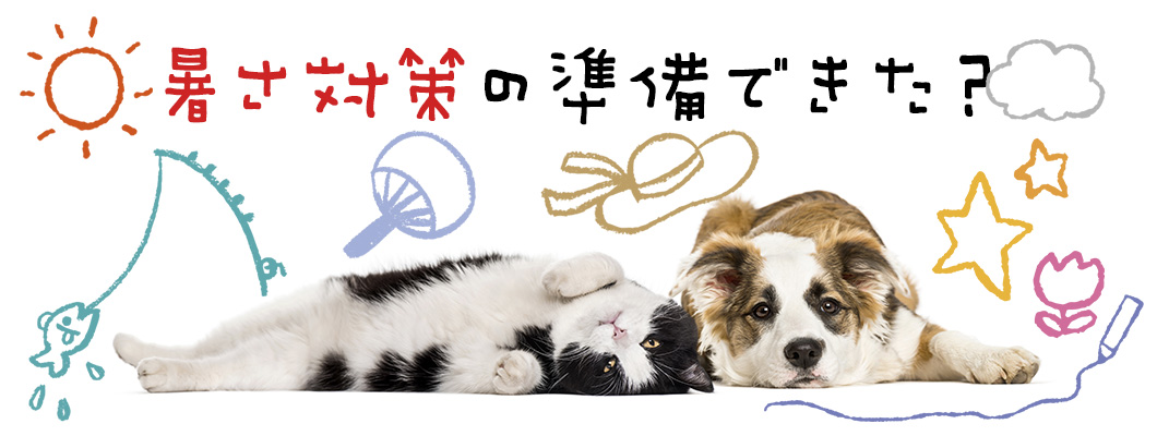 【飼い主さん必見】大切なペットを守る夏のひんやりアイテム紹介!
