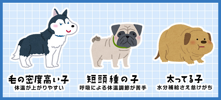 熱中症になりやすい犬種