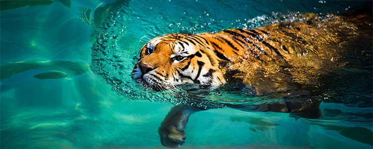 �����@�g��