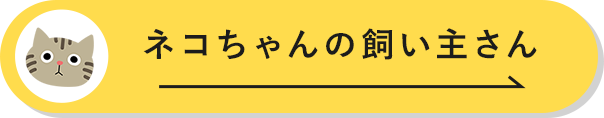 �L�����̎����傳��͂�����