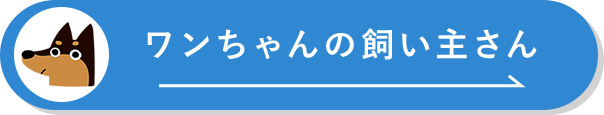 �����`�����̎����傳��͂�����