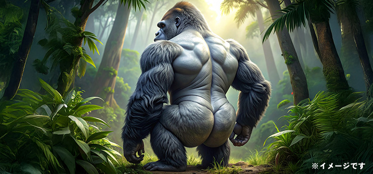 �V���o�[�o�b�N�𒭂߂�E�z��