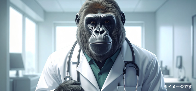 �S�����f�f